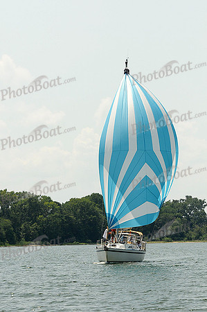 2012 Gov Cup D 349