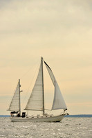 2017 Vineyard Race B_0275