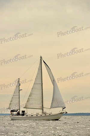2017 Vineyard Race B_0275