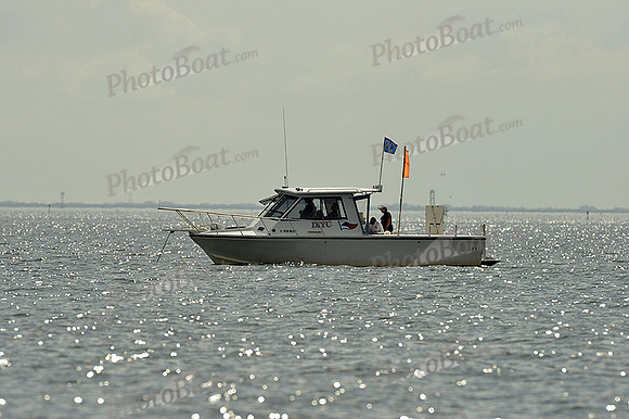 2015 J70 Winter Series C 588