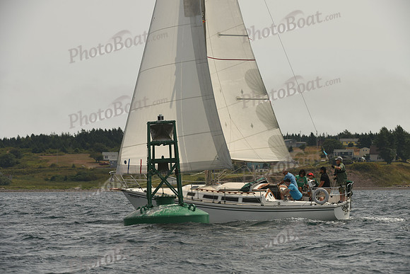 2016 Chester Race Week C_0771