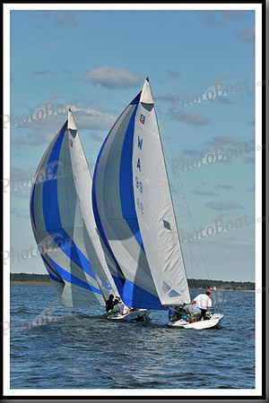 proof_2010_EScows_D 170