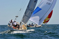 2012 Newport Bermuda 379