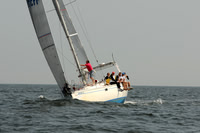 2011 Vineyard Race B 082