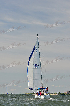 2014 Southern Bay Race Week C 1196