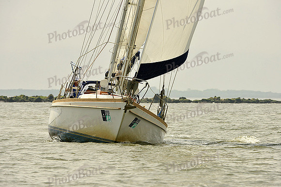 2015 Charleston Race Week B 411