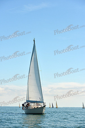 2015 Cape Charles Cup C 672