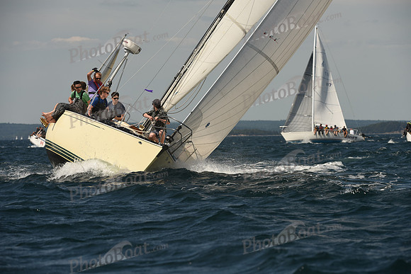 2016 Chester Race Week A_1409