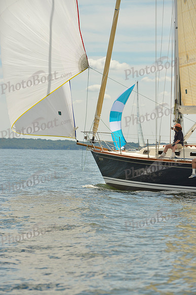 2016 Vineyard Race A_1048