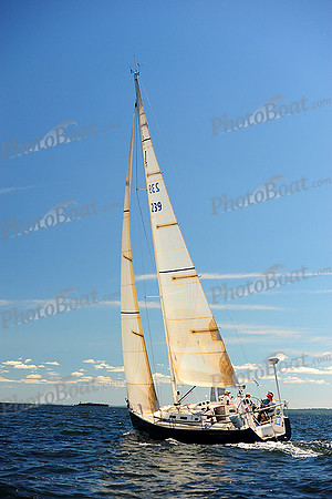 2014 Vineyard Race A 430