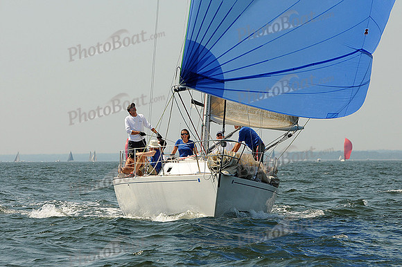 2012 Vineyard Race A 862