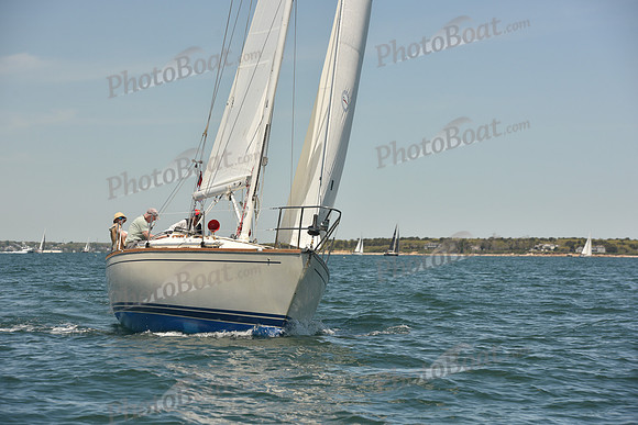 2024 Figawi 0448