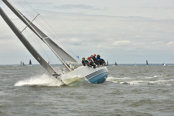 2024 Vineyard Race A_1616