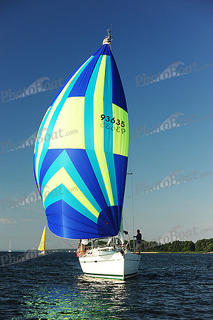 2015 Gov Cup D 195
