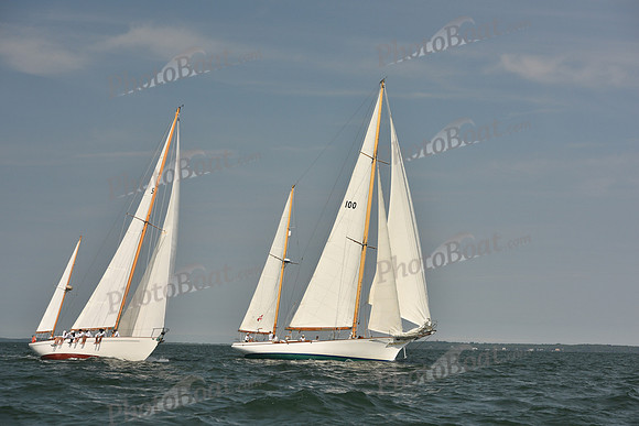 2018 Vineyard Cup A_0296