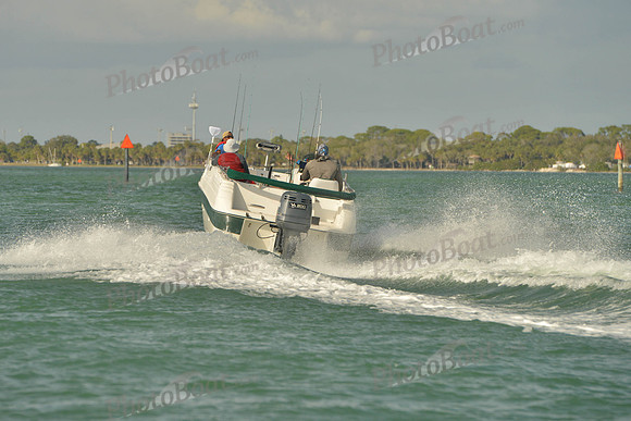 2019 Feb 10 Tampa Bay B_0679
