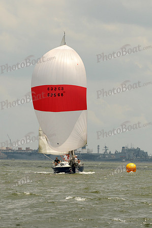 2012 Southern Bay Race Week A 2446