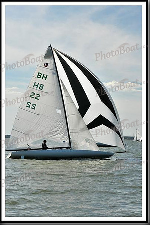 proof_2010_EScows_E 1260