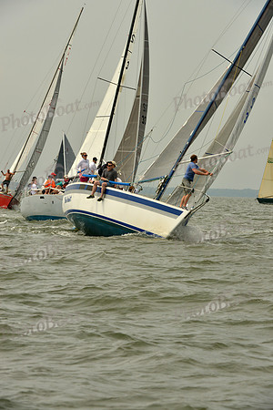 2016 Southern Bay Race Week A_0282