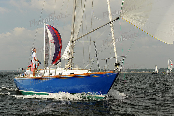 2013 Vineyard Race A 462
