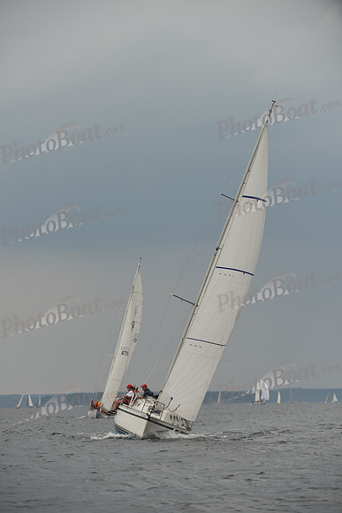 2016 Chester Race Week D_0582