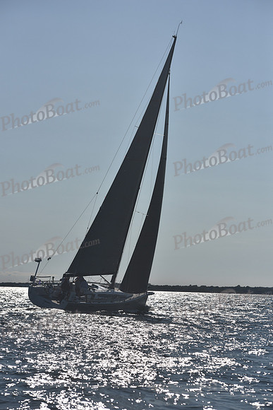 2021 Vineyard Race B 2307
