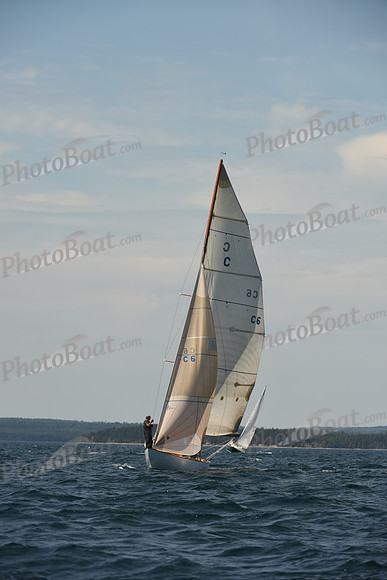 2016 Chester Race Week A_0848
