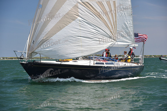 2019 Figawi_0892