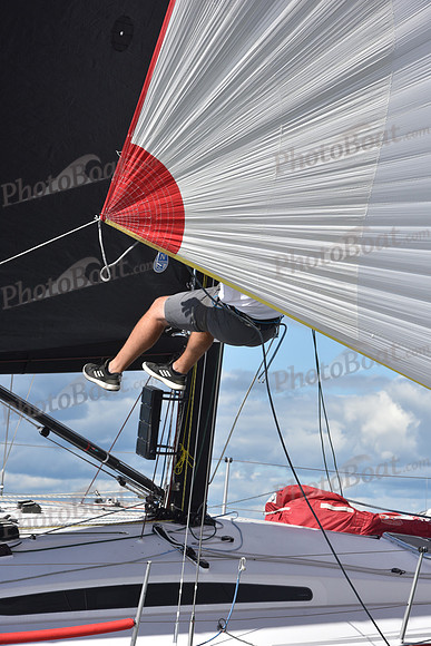 2021 Vineyard Race A 2863