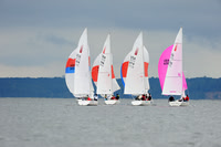 2012 Sonar LIS Champs 1012