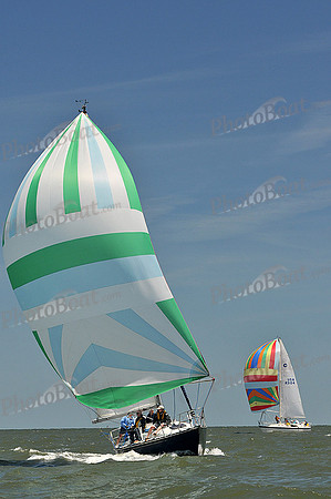 2014 Southern Bay Race Week D 1129