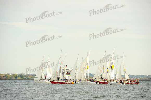 2014 NY Architects Regatta 513