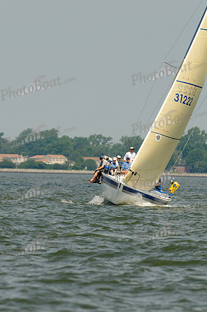2012 Southern Bay Race Week A 349
