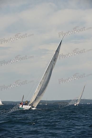 2016 Chester Race Week A_0745