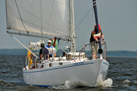 Stormy Petrel
