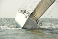 2015 Vineyard Race A 977