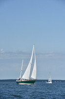 2019 Around Marthas Vineyard A_1127