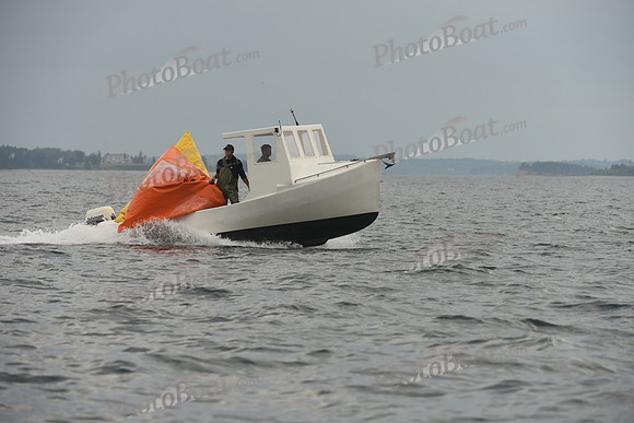 2016 Chester Race Week D_0806