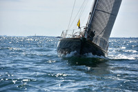 2019 Marblehead to Halifax A_1365