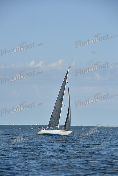 2019 Around Marthas Vineyard A_1364