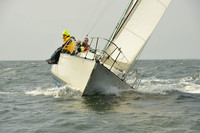 2015 Vineyard Race A 582