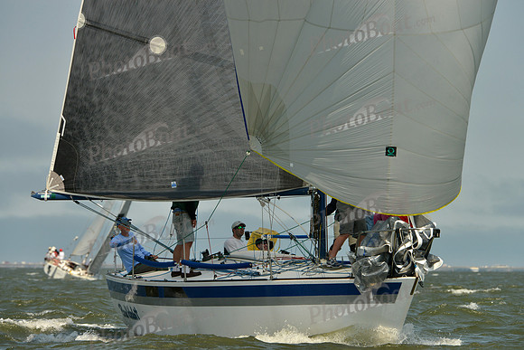 2016 Southern Bay Race Week B_0577