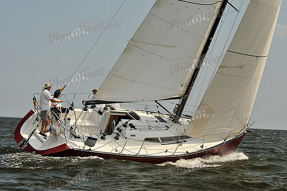 2013 Gov Cup A 995