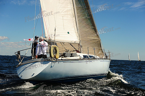 2014 Vineyard Race A 310