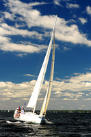 2014 Vineyard Race A 556