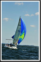proof_2010_Vineyard_Race_0275