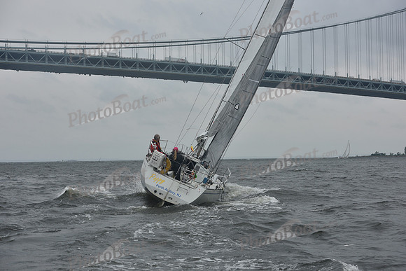 AMC_3528