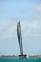 Arethusa