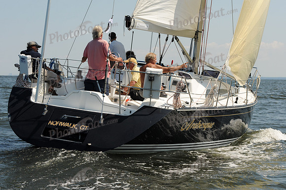 2011 Vineyard Race A 701