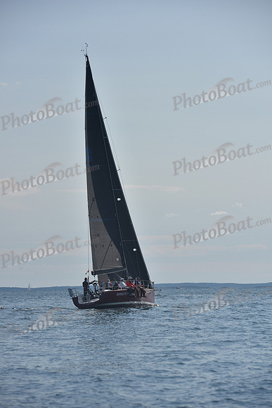 2021 Vineyard Race B 1710
